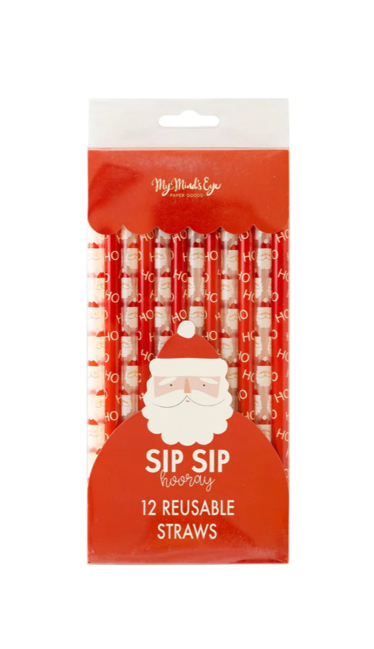 BELIEVE SANTA REUSABLE STRAW SET